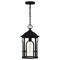 Quoizel Brampton 1-Light Matte Black Mini Pendant BRM1509MBK - alternate 1